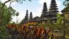 bali tourism board